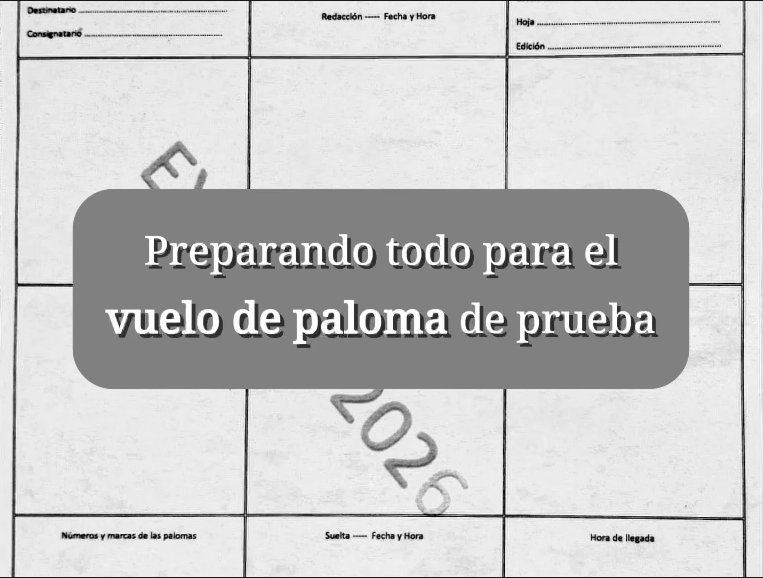 Vuelo de paloma de prueba